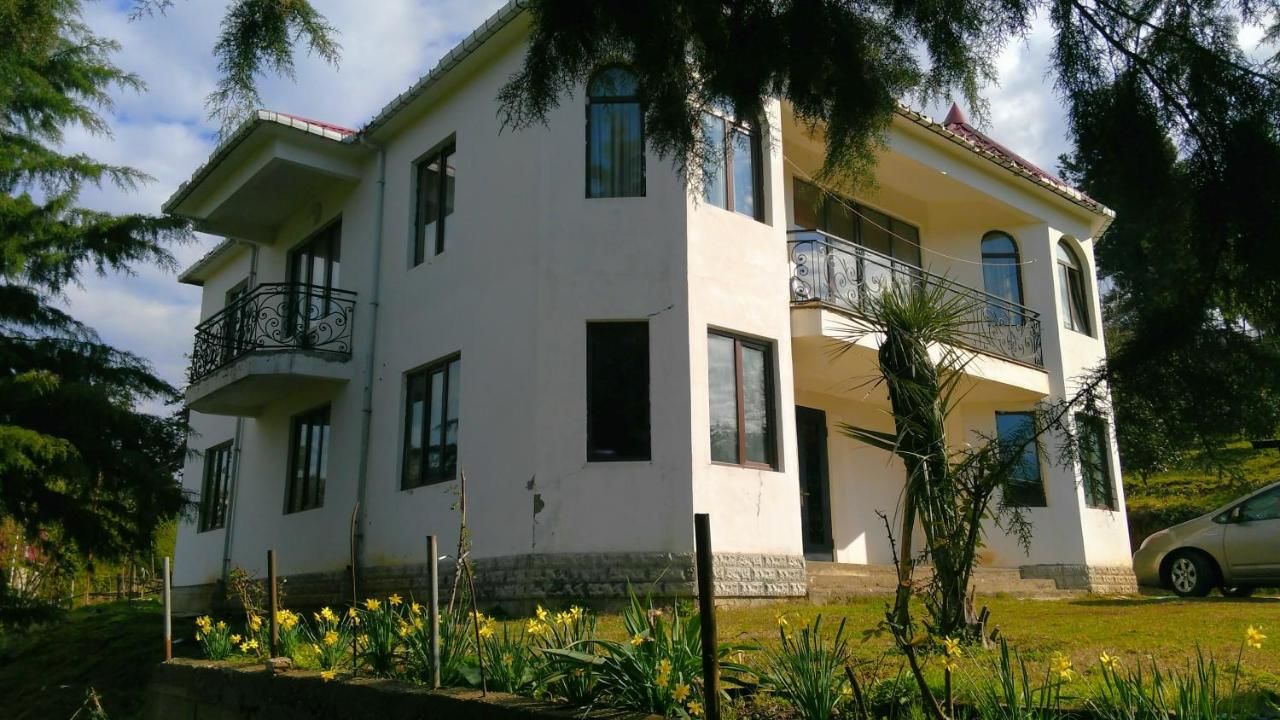 Виллы Villa in Chakvi Чакви-4