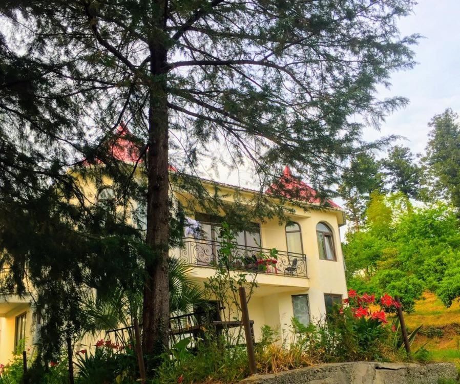 Виллы Villa in Chakvi Чакви